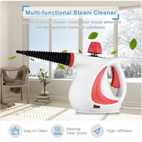 Thumbnail for High-Pressure Steam Cleaner