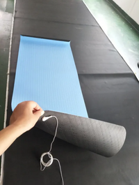 Thumbnail for Conductive Grounding Yoga Mat