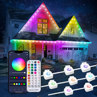 Thumbnail for 24V Smart Colorful Eaves Decorative Lamp